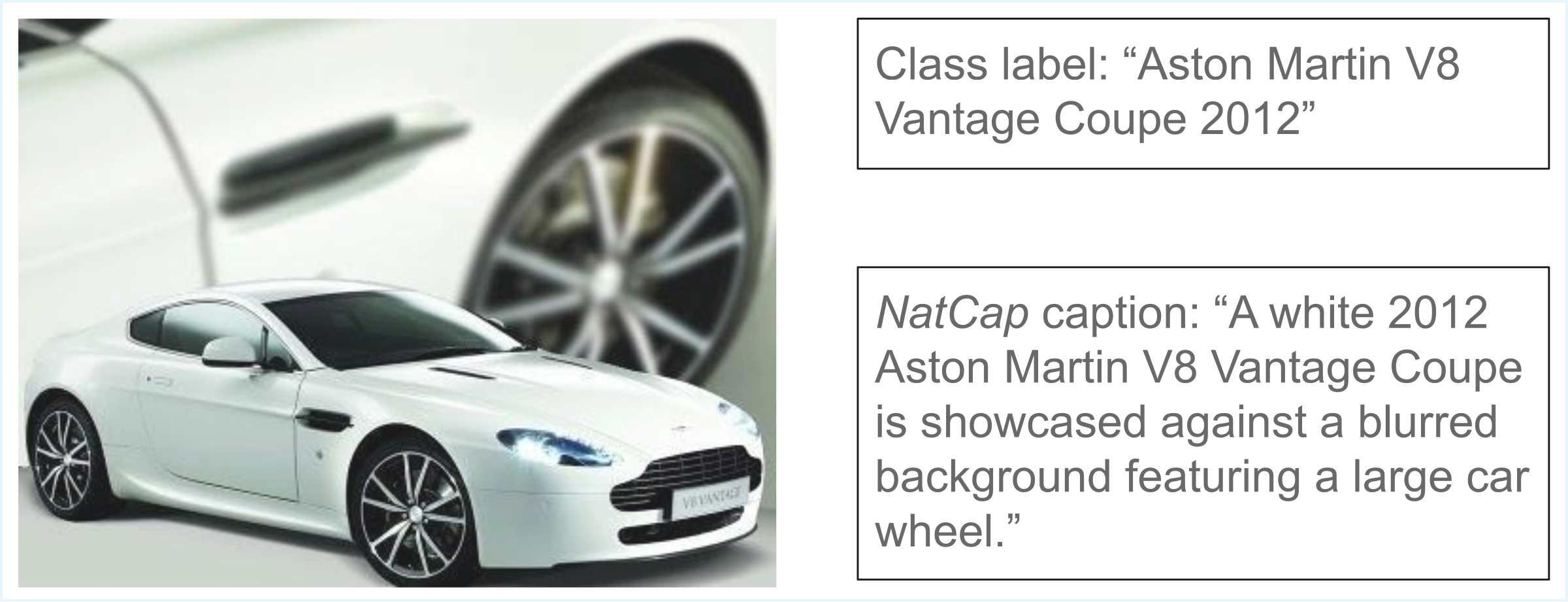 Example from the NatCap dataset